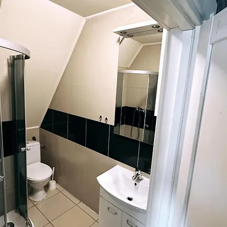 Inn Palac Dabrowa 3*