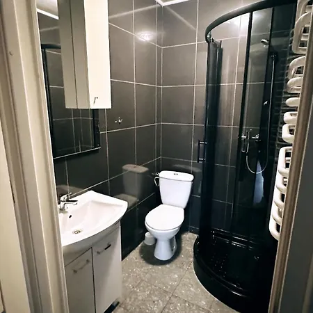 Palac Dabrowa Dąbrowa Górnicza