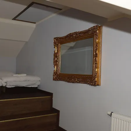 Palac Dabrowa 宾馆 Dąbrowa Górnicza