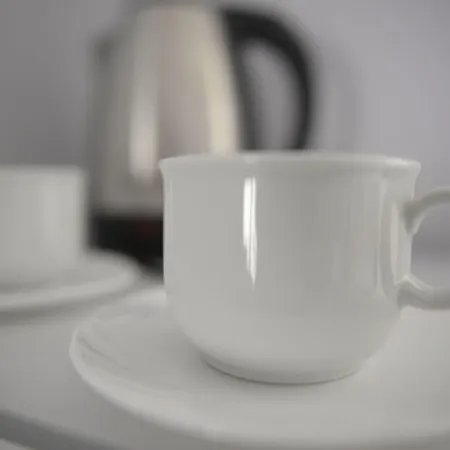 宾馆 Palac Dabrowa