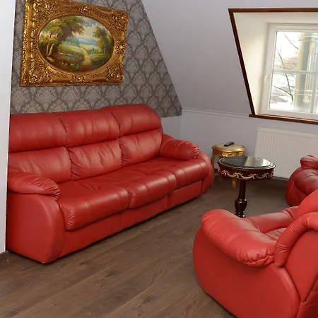 Palac Dabrowa 宾馆 Dąbrowa Górnicza