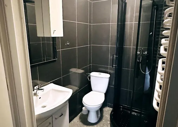 Palac Dabrowa Dąbrowa Górnicza